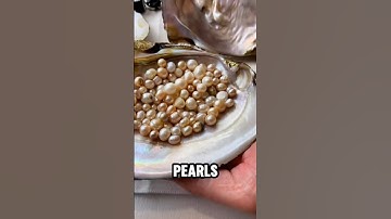 How Humans Trick Oysters into Making Pearls! 🤯