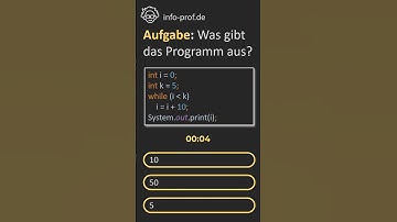 Testfrage while-Schleife in Java