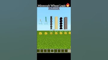 Minecraft Wheat Logic!🤯🔥 #equipou #minecraft