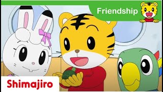 The Lost Turtle 🐢 Full Episodes |😢 Compassion | Empathy | Kids videos for kids | Shimajiro