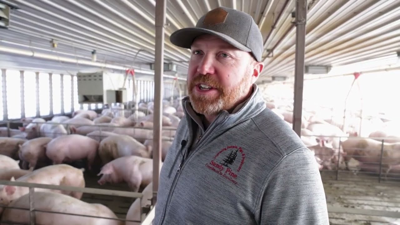 Look Inside a Nebraska Hog Barn – Highlighting About the Benefits Of Confinement Operations