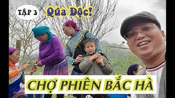 Nơi tập trung bán heo gà mèo chó ngựa dê chợ phiên Bắc Hà Lào Cai
