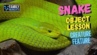 SNAKE OBJECT LESSON about Being Shrewd!