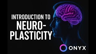 Introduction to  Neuroplasticity