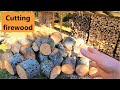 #220 Cutting firewood! Stihl MS170 and MS260PRO