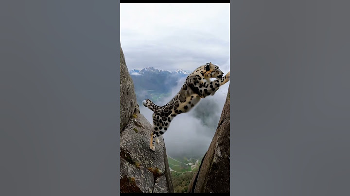 Nature's Chase Snow Leopard Hunts Mountain Goats Across Treacherous Cliffs | Wildlife Drama Unfolded