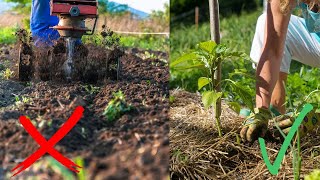 Why I Tilled Our Garden, BUT You Probably Shouldn't | Pros and Cons of Tilling A Garden