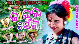 Kandul Senga (Singer - Prakash Jal)New Sambalpuri Song 2018