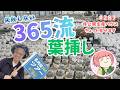 【多肉植物】多肉の葉挿し、実はこうしてます。生産ハウスの裏側も公開No287