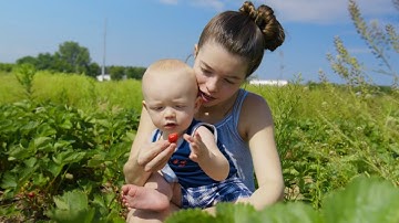 RED Komodo 6k Autofocus Testing