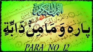 Para 12 Wa Mamin Da'abat وَمَا مِنْ دَابَّةٍ || Holy Quran chapter 12 QURAN PARA 12 Wa Mamin Daabat
