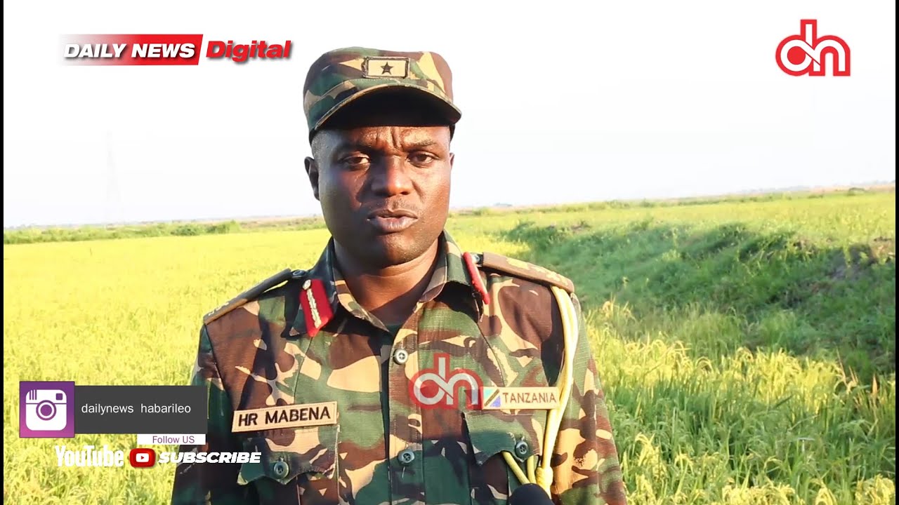 #TAZAMA| JKT WAANZA KILIMO CHA MPUNGA KISASA