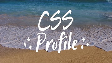How to fill the CSS Profile (Bangladesh)