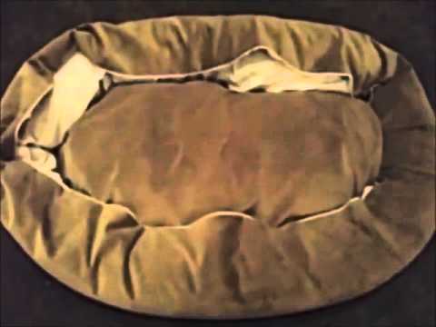 52-inch-sage-suede-bagel-dog-bed-by-majestic-pet-products--review