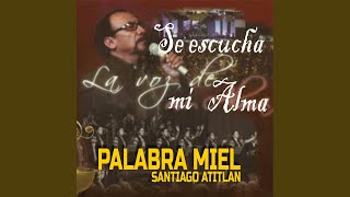 La Bondad De Mi Dios
