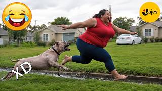 SI TE RÍES PIERDES NIVEL DIOS #255 🤣 VIDEOS DE RISA 😎 HUMOR VIRAL MEXICANO🤣