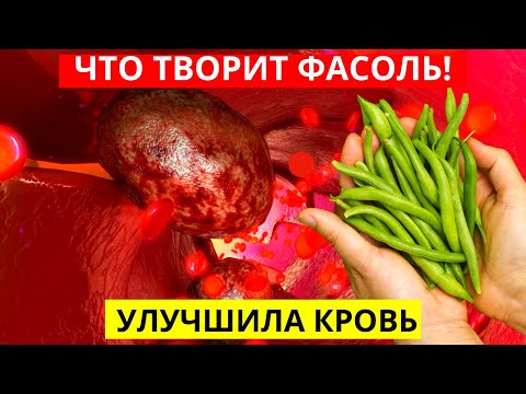 Вот Что Будет, Если Есть Фасоль Каждый День (это Чудо-еда)