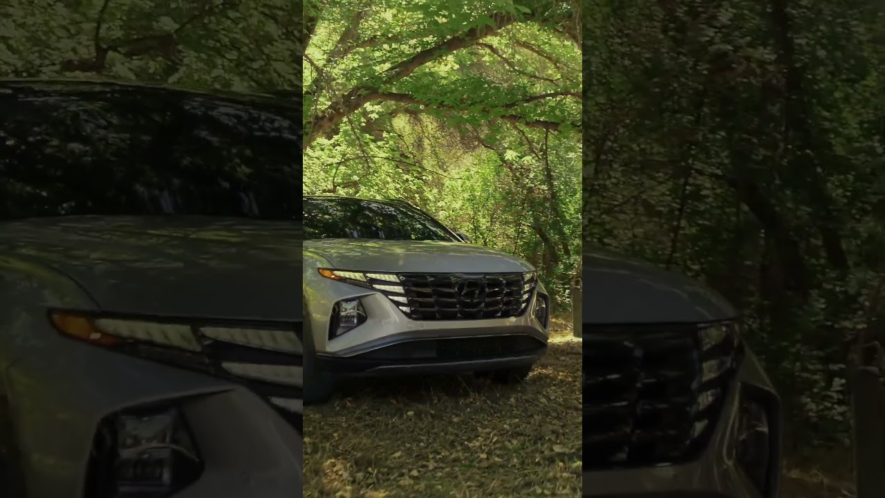 Hyundai Tucson Calm your journey  Forest