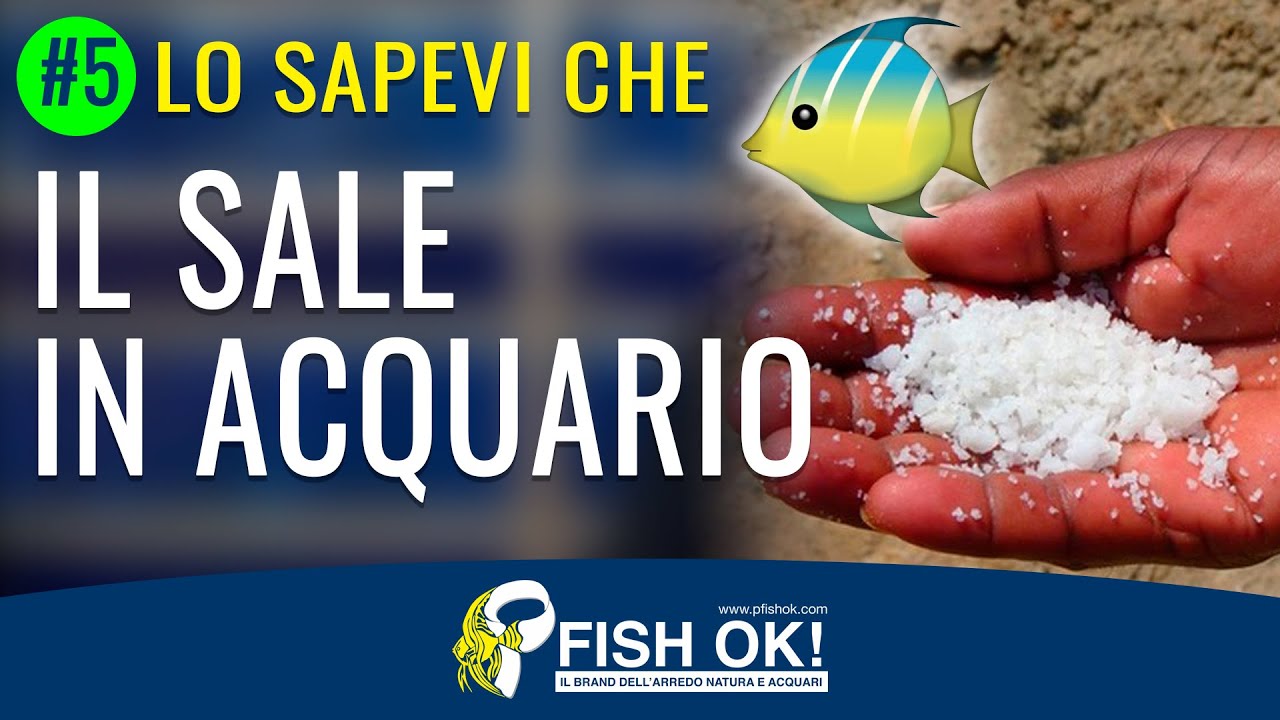 6 Mosche Da Pesca PINFISH Taglia 2 - Sale O Acqua Dolce - Affare!