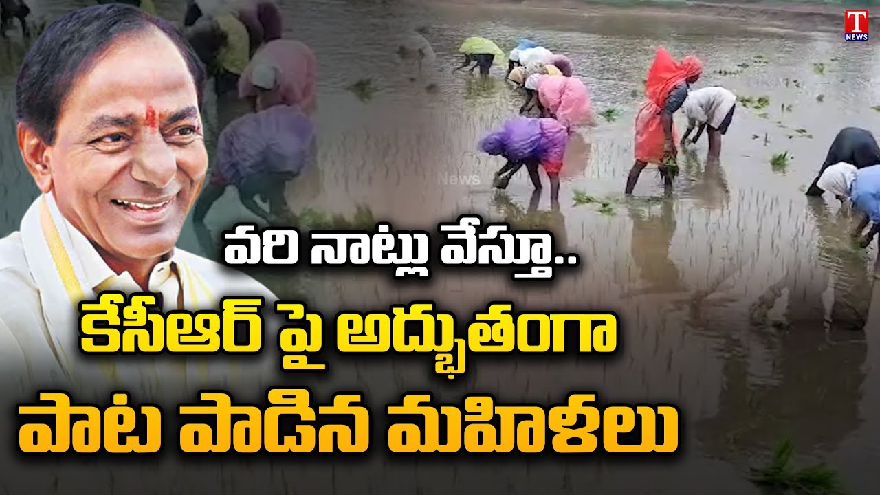 Women farmers Singing Song on KCR & Planting Paddy at Lingampally Village, Karimnagar | T News