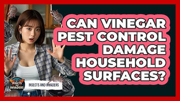 Can Vinegar Pest Control Damage Household Surfaces? - Insects and Invaders