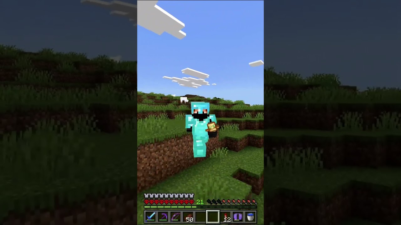 J'aurais un PC donc Minecraft Java ?