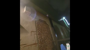 Testing Blue Iris AI security monitoring system...