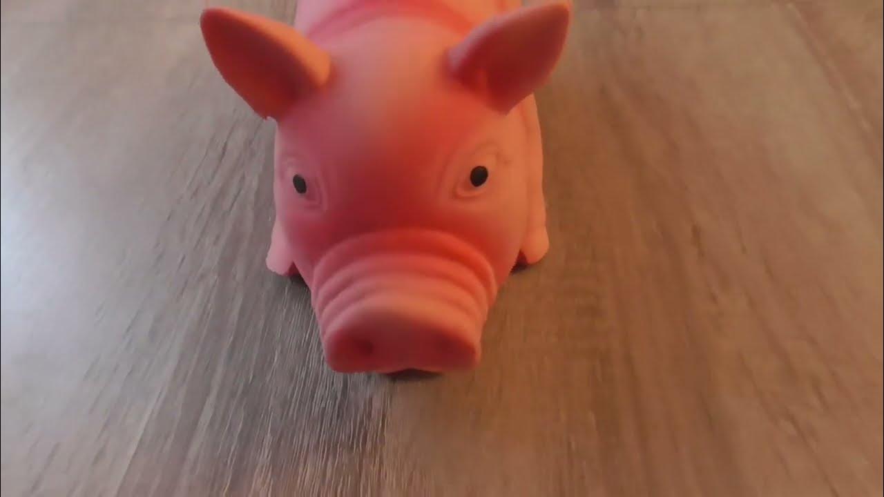 Pig Toy Oink Sound Squeaky Pet Toys
