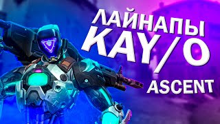 ОБЯЗАТЕЛЬНЫЕ ЛАЙНАПЫ! РАСКИДКИ ДЛЯ KAY/O (КАЙО) НА КАРТЕ ASCENT