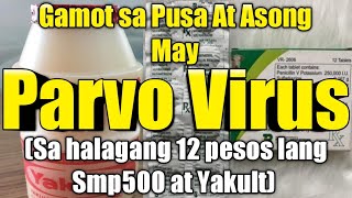 Paano gamutin ang Pusa at Asong may Parvo Virus|Home treatment for Parvo Virus by MeowmyRein 219,539 views 3 years ago 15 minutes