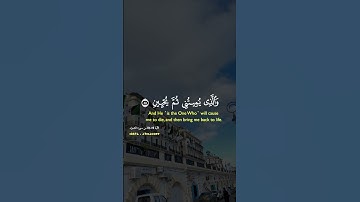 تلاوة خاشعة لآيات سورة الشعراء بصوت القارئ فارس عباد🎧 #سورة_الشعراء #فارس_عباد #الذي_خلقني_فهو_يهدين