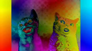 Preview 2 Numa Cat Effects Sponsored By Preview 2 Effects In Mari Group