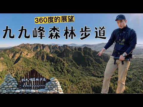 九九峰森林步道，想看風景必來爬的親民步道｜4K畫質