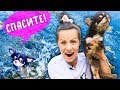 СОБАКА УПАЛА в ВОДУ! ПРОГУЛКА на ЗАБРОШКУ и ОЗЕРО ВЛОГ МОЙ ДЕНЬ с ЮМИ ЧУ | Magic Family