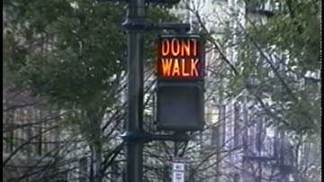 The Human Interface (1990)