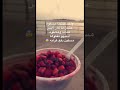  بليلة بلبلوكي
