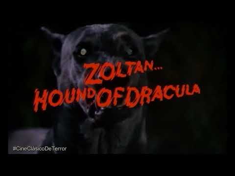 "Zoltan: Hound of Dracula" (1978) Trailer original