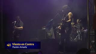 Video thumbnail of ""Artista 100% Chapín Tigo - Pasión Amarla - Viento en Contra""