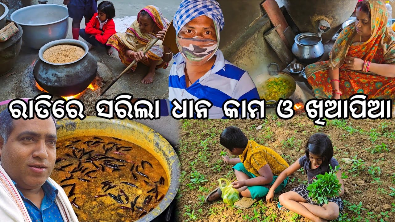 ରାତିରେ ଧାନ କାମ ସରିଲା ହେଲା ଖିଆପିଆ l ବାପା ଆସିଲେ ! l Gouranga Nayak Odia Vlogs