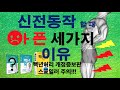 신전동작때 아픈 세가지 이유(백년허리 개정증보판 스포일러 포함)