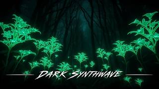 Details DARK WAVE | Phantom Dreams 2026 - Coldwave Update