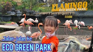 REVIEW LENGKAP PINEUS TILU | Camping Ground Mewah di Tengah Hutan Pangalengan, Bandung #Vlog10