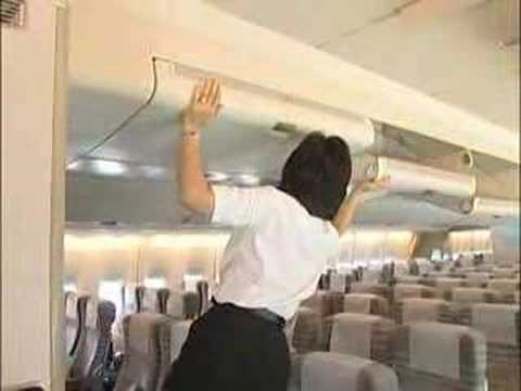 JAL Cabin Attendant (Japanese Version)