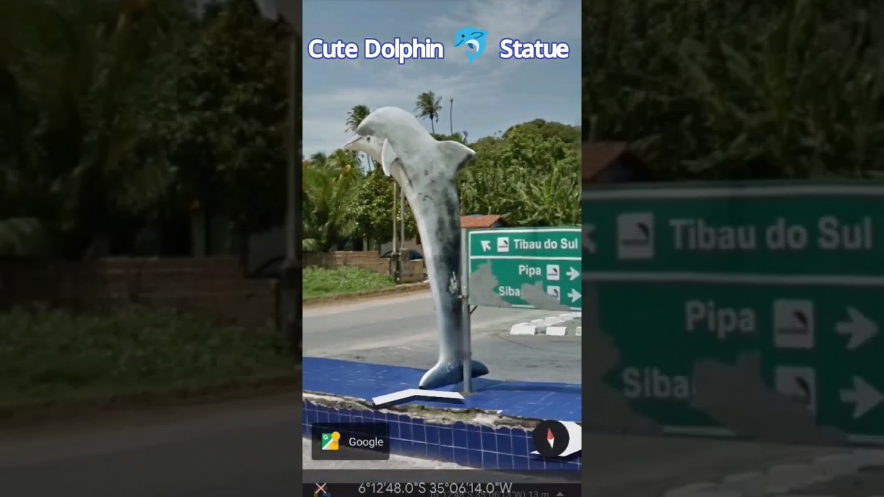 Cute Dolphin 🐬 Statue on 