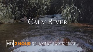 HD Calm River Ambience - 2 Hour Relaxing Experience - for sleep, relaxation, and meditation