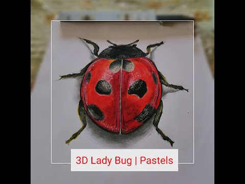How To Color a 3D Lady Bug| How To Color with Pastels #ladybug  #pastelart #onemillionaudition #fyp