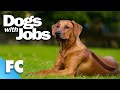 Dogs With Jobs | S5E01: Nyack, Cinder &amp; Clancy | Full Animal Documentary TV Show | FC