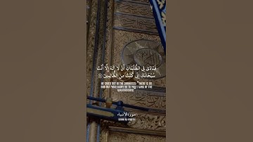 فَاسْتَجَبْنَا لَهُ وَنَجَّيْنَاهُ مِنَ الْغَمِّ ۚ || سورة الأنبياء || علي جابر