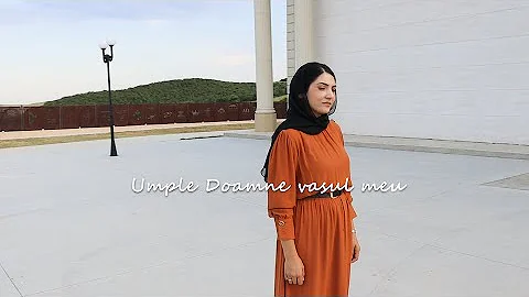 ISAURA GHEORGHIU - UMPLE DOAMNE VASUL MEU | COVER