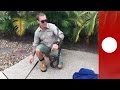 Ill-humoured python bites snake catcher on the head-Visuals